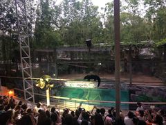 -清迈夜间动物园