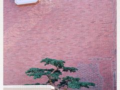 -俏江南天津时尚曲艺主题餐厅(马场道店)