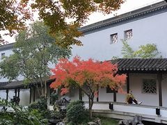 -秋霞圃