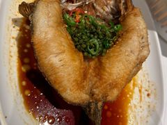 -侨美食家·40年地道粤菜(珠江新城店)