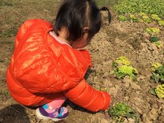 -呼吸森林·生态农庄农家乐私房菜