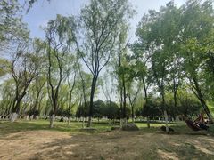 -西安浐灞国家湿地公园
