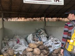 -大象粑粑造纸公园