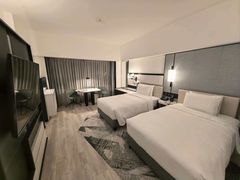 -新加坡乌节希尔顿酒店 (SG Clean)