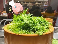 -龍歌自助小火锅(崂山丽达店)