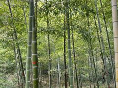 -紫金山索道-售票处