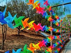 -北京西山国家森林公园