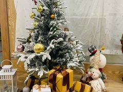 -iF摄影•全家福•证件照•形象照(南山店)