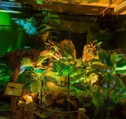 -恐龙探索乐园(磁器口店)