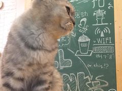 -拾壹cafe·工作室