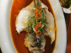 -十二月·宁夏盐池滩羊肉火锅