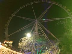 -锦江乐园舞狸花花游园会(夜场专享)