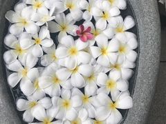 -100蛋泥浆浴