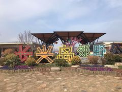 -上海长兴岛郊野公园