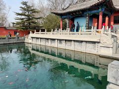 -百脉泉景区
