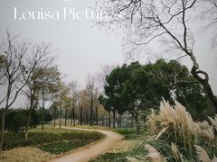 -贡湖湾湿地公园