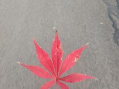 -金陵矩阵(聚宝山公园店)