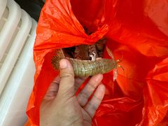 -鱼市酒店(威海水产批发市场店)