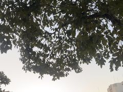 -比斯特上海购物村精品奥特莱斯