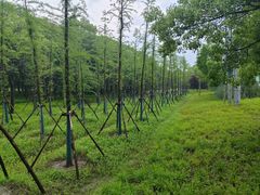 -嘉北郊野公园