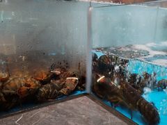 -艳阳天·非遗楚菜(武汉客厅店)