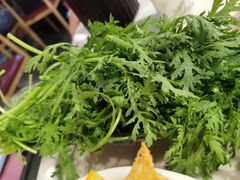 -食潮汕头鲜牛馆(望京保利店)