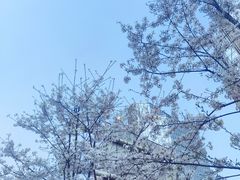 -云漫湖生态度假公园