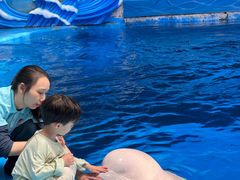 -海合安成都极地海洋公园