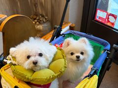 -比斯特上海购物村精品奥特莱斯