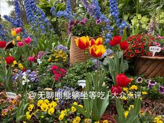 -东莞植物园