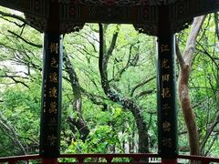 -乌山风景区