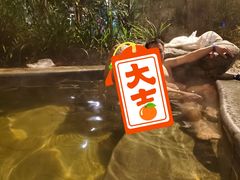 -青城道汤池