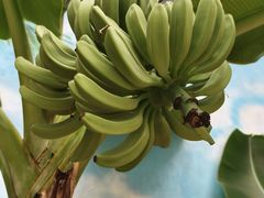 -兴芮温泉度假区