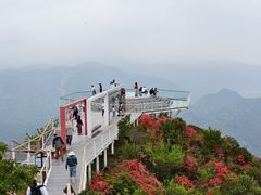 -瑞安圣井山景区
