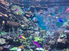 -新加坡海洋生态馆
