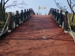 -长广溪湿地公园