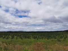 -御道口草原森林风景区