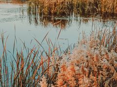 -野鸭湖国家湿地公园