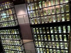 -广东中医药博物馆
