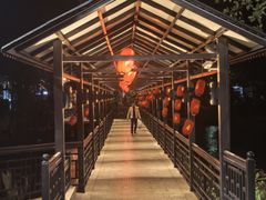 -侨美·唐荔园·40年地道粤菜