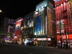 -秋叶原电器街