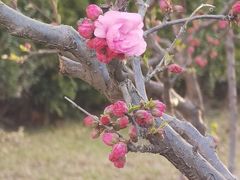 -朝阳公园