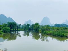 -会仙湿地