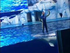 -福州罗源湾海洋世界旅游区