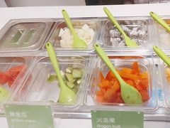 -Salud撒露欧洲冻酸奶(蓝色港湾店)