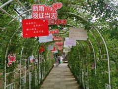 -双榆树公园
