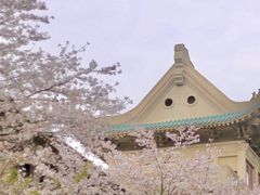 -武汉大学-樱园