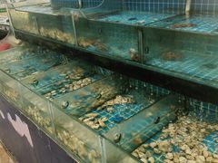 -佰园全日西餐厅-厦门佰翔软件园酒店