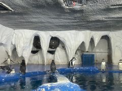 -太平洋海底世界