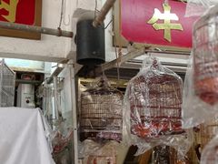 -园圃街雀鸟花园